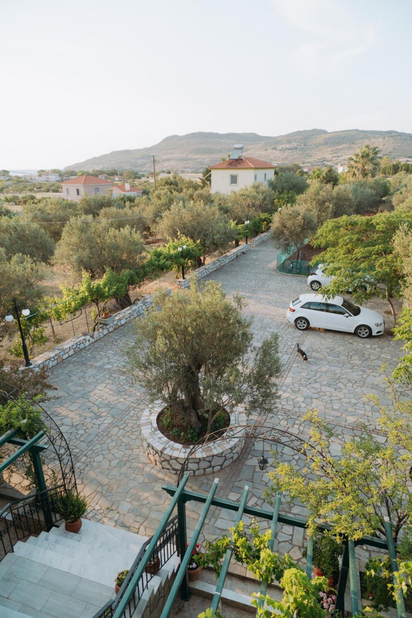 Vasiliki Studios Petra  Buitenkant foto