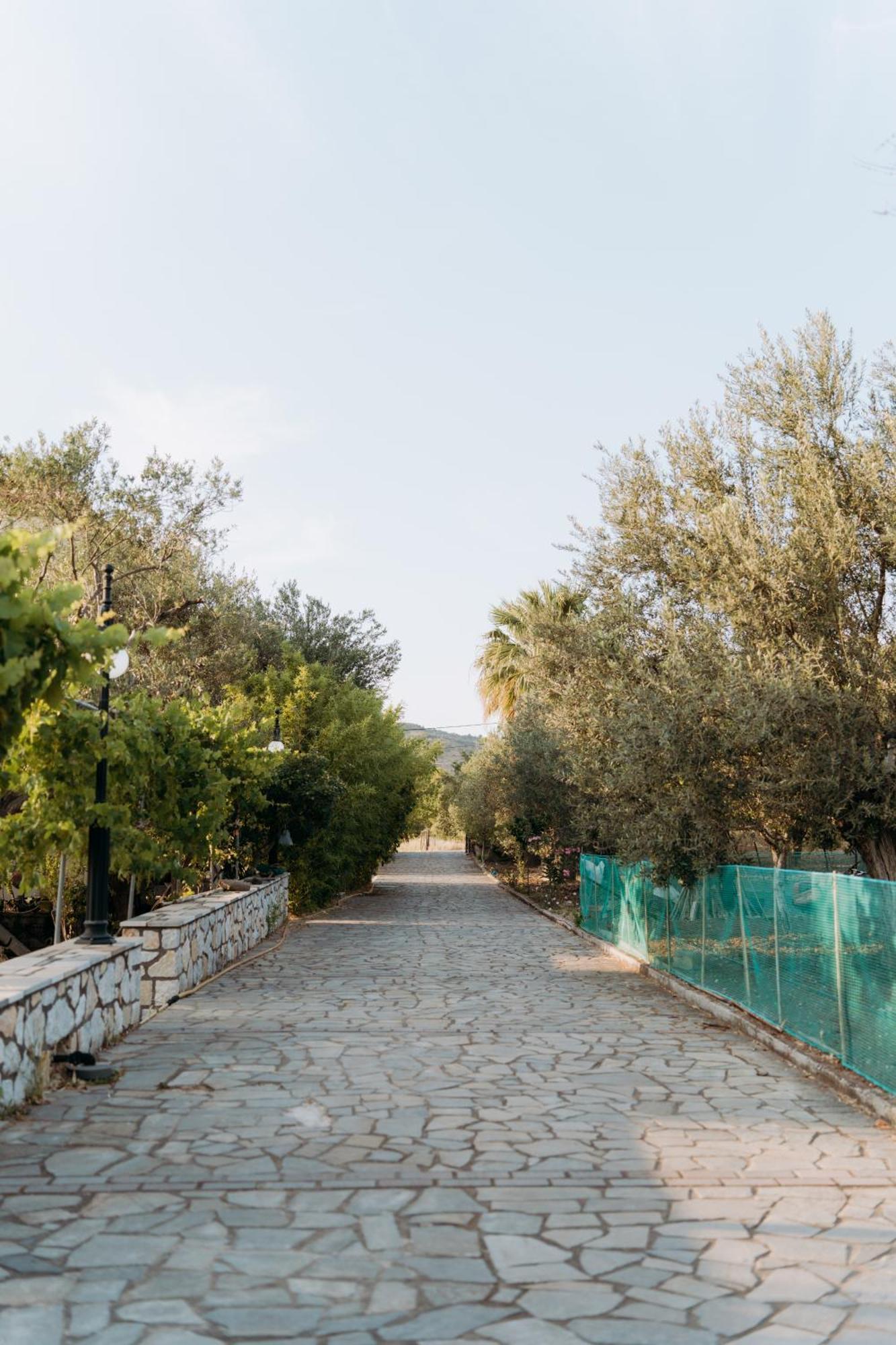 Vasiliki Studios Petra  Buitenkant foto