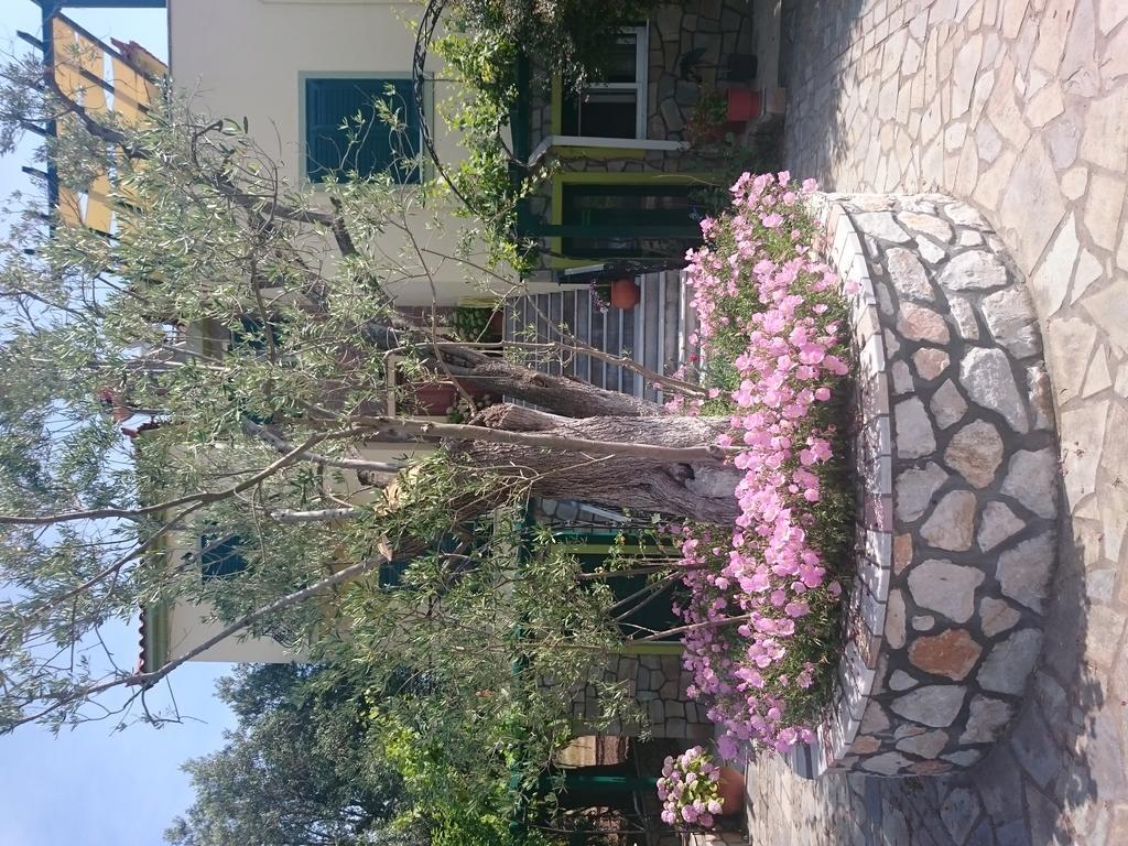 Vasiliki Studios Petra  Buitenkant foto